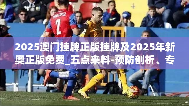 2025澳门挂牌正版挂牌及2025年新奥正版免费_五点来料-预防剖析、专家解读解释与落实,警惕诱导性陷阱