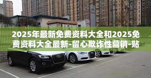 金钦